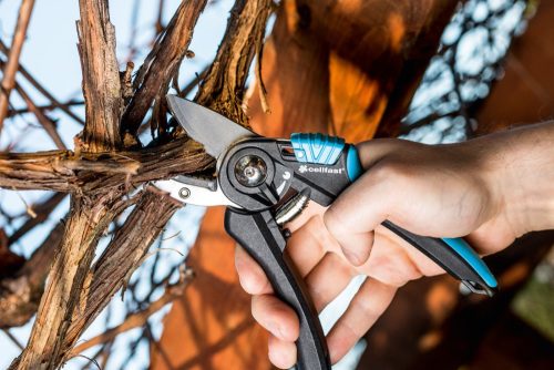 ENERGO Ergonomikus Metszőolló Száraz Ágak Vágásához, Állítható Nyílással, SAFETOUCH™ Markolattal