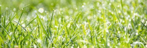 Csapcsatlakozó külső menettel (akrilnitril-butadién-sztirol) IDEAL 1/2" - CELLFAST 51-665