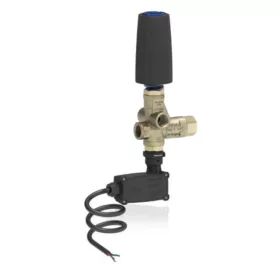   MTM Hydro BRV31 T Bypass Szelep 3/8"F Mikrókapcsolóval
