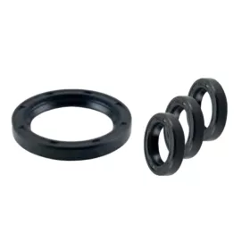   Olajtömítés készlet 18 mm Annovi Reverberi RR, RRA, RRV szivattyúkhoz (A42555)