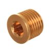 Sárgaréz Zárósapka 1/4" - MTM Bypass Szelepekhez és T-Racer 18", 21", 24" Kefe Karokhoz