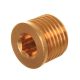 Sárgaréz Zárósapka 1/4" - MTM Bypass Szelepekhez és T-Racer 18", 21", 24" Kefe Karokhoz