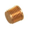 Sárgaréz Zárósapka 1/4" - MTM Bypass Szelepekhez és T-Racer 18", 21", 24" Kefe Karokhoz