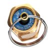 Biztonsági szelep kompresszorhoz 1/4" menetes csatlakozással, 11 Bar  Air Tek