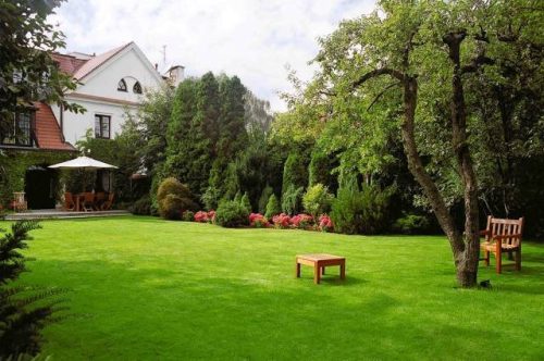 Kwazar Rózsa 6L Kézi Kerti Permetező