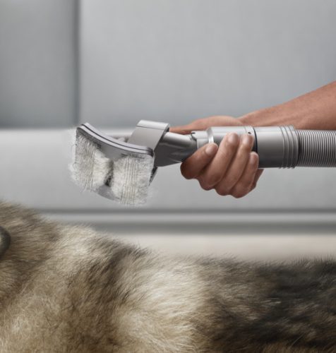Állatszőr eltávolító készlet Dyson porszívókhoz, teleszkópos csővel és PET Groom szívófejjel