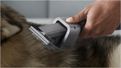 Állatszőr eltávolító készlet Dyson porszívókhoz, teleszkópos csővel és PET Groom szívófejjel