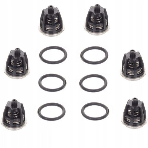 Szelepkészlet o-gyűrűkkel, Interpump W, WS, WW, T, TS, TT sorozatú magasnyomású mosókhoz, szivattyúkhoz - KIT1